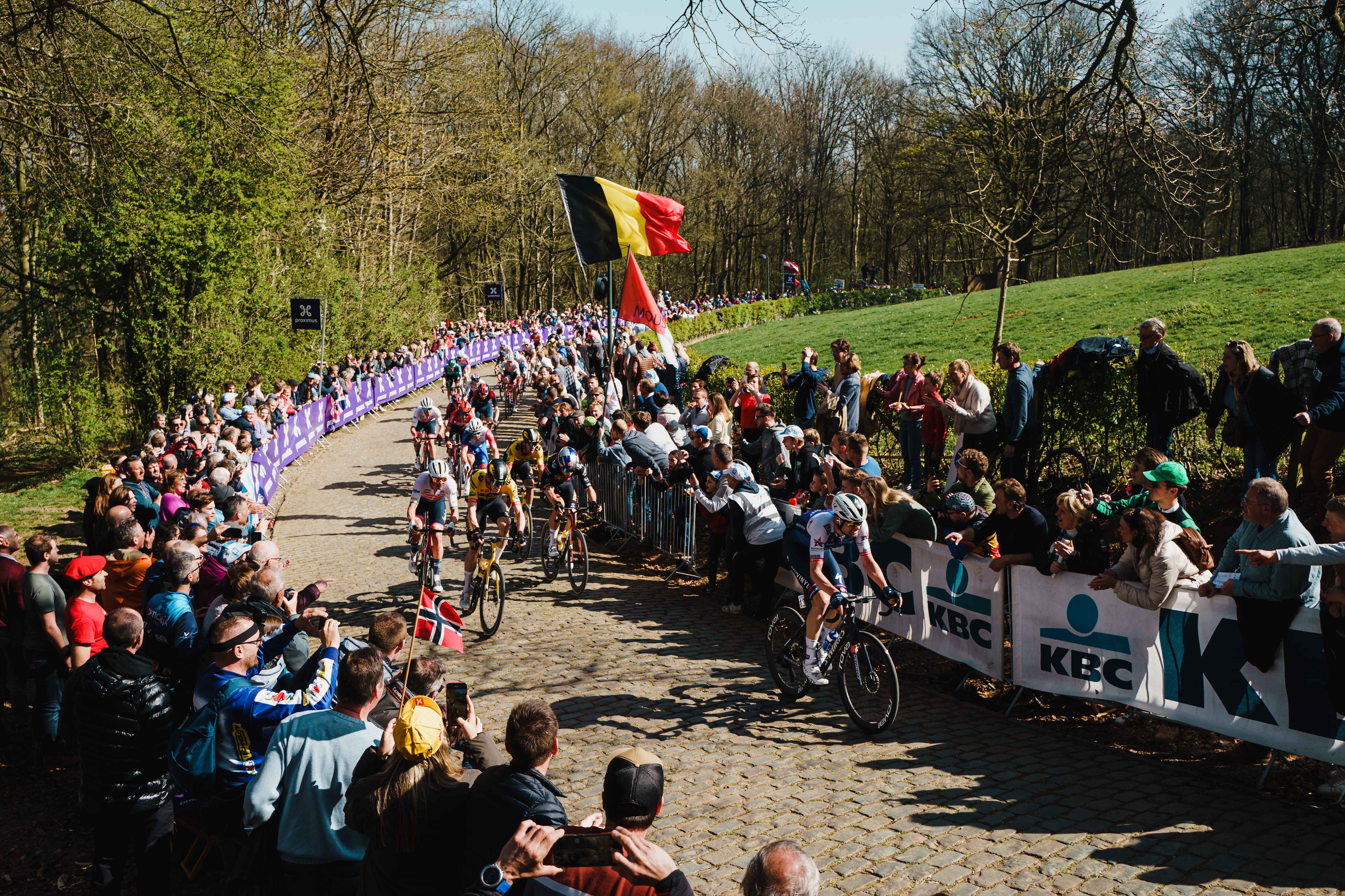 Watch the Spring Classic; Gent Wevelgem with Team Visma | Lease a Bike