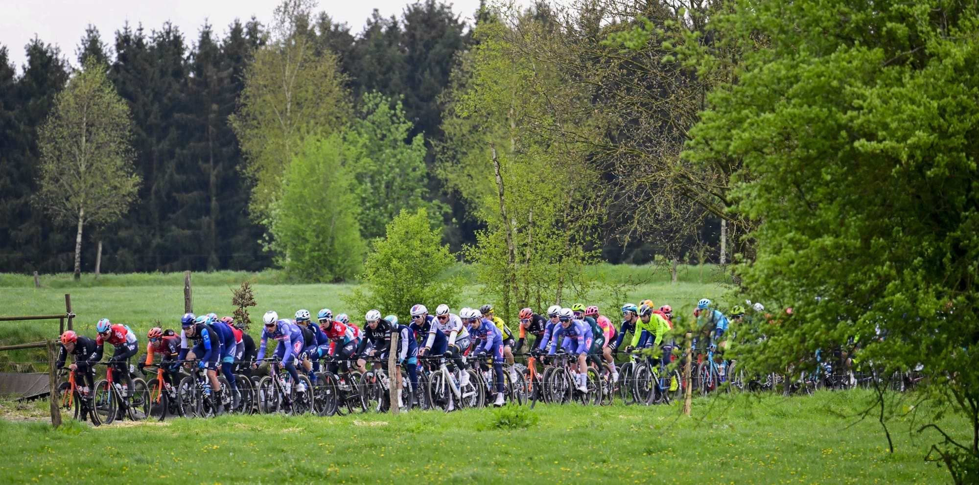 Riders flying through Belgian countryside during Liege Bastogne Liege 2025