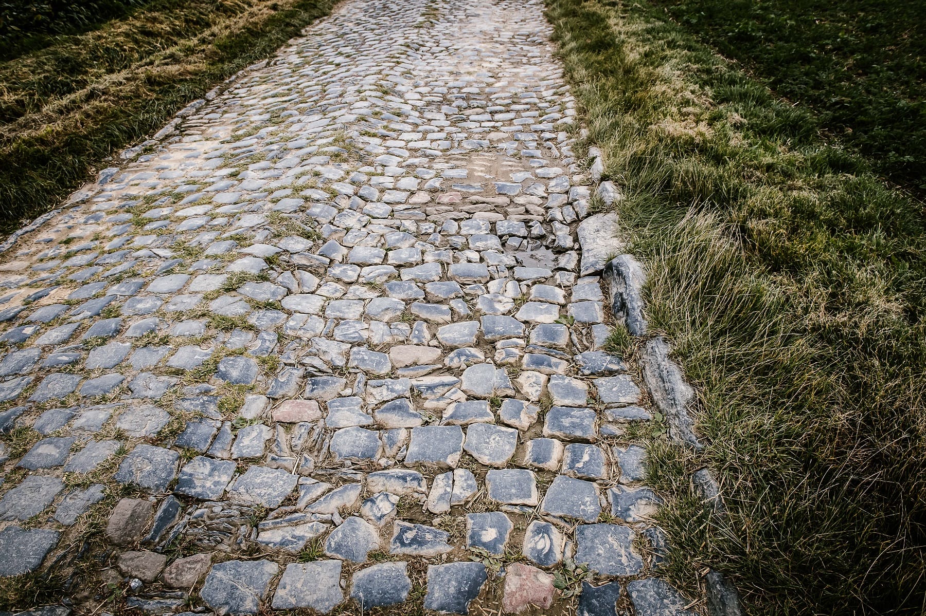 Paris Roubaix pave