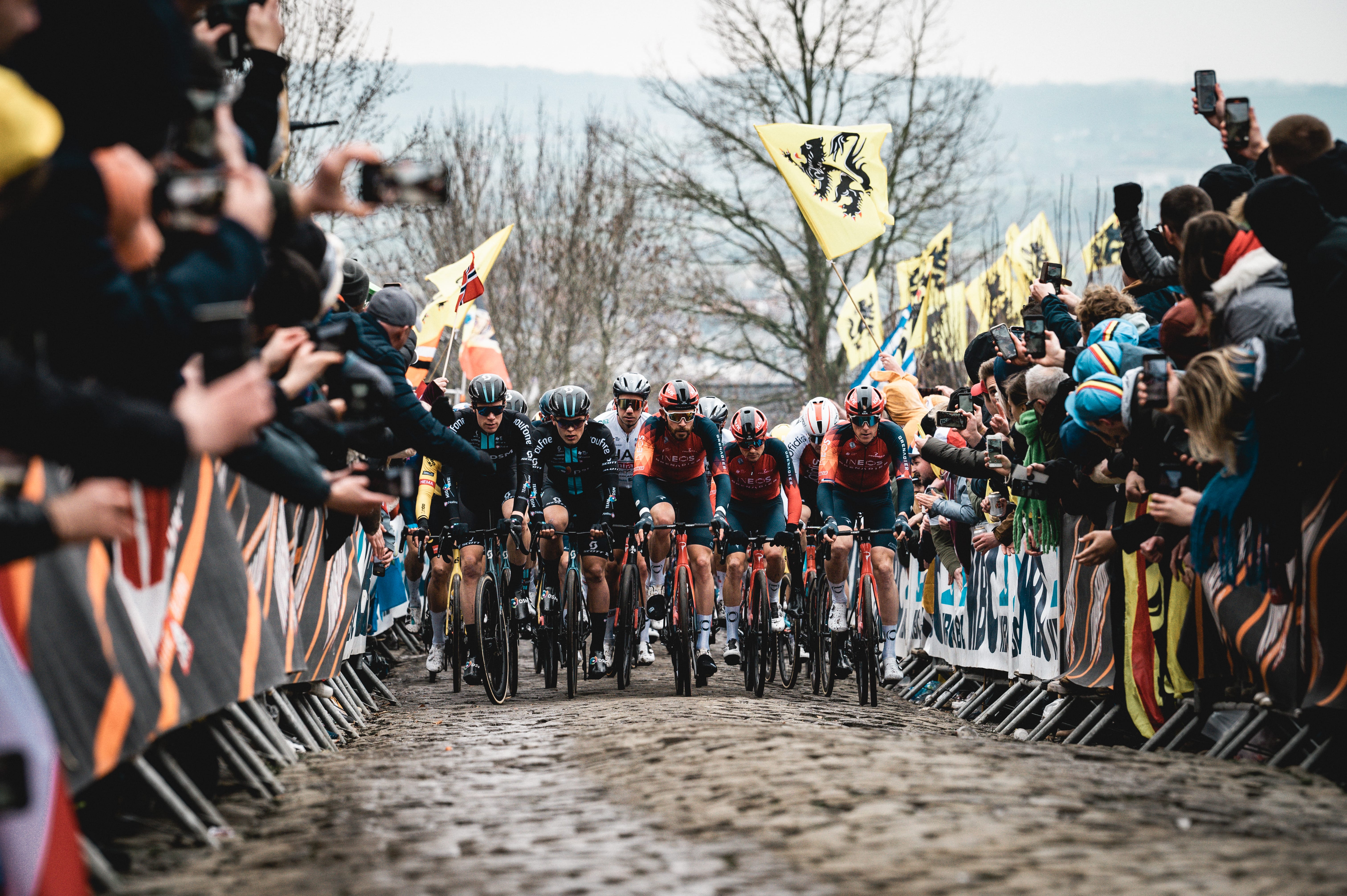 Cyclists vying for position during the Tour of Flanders