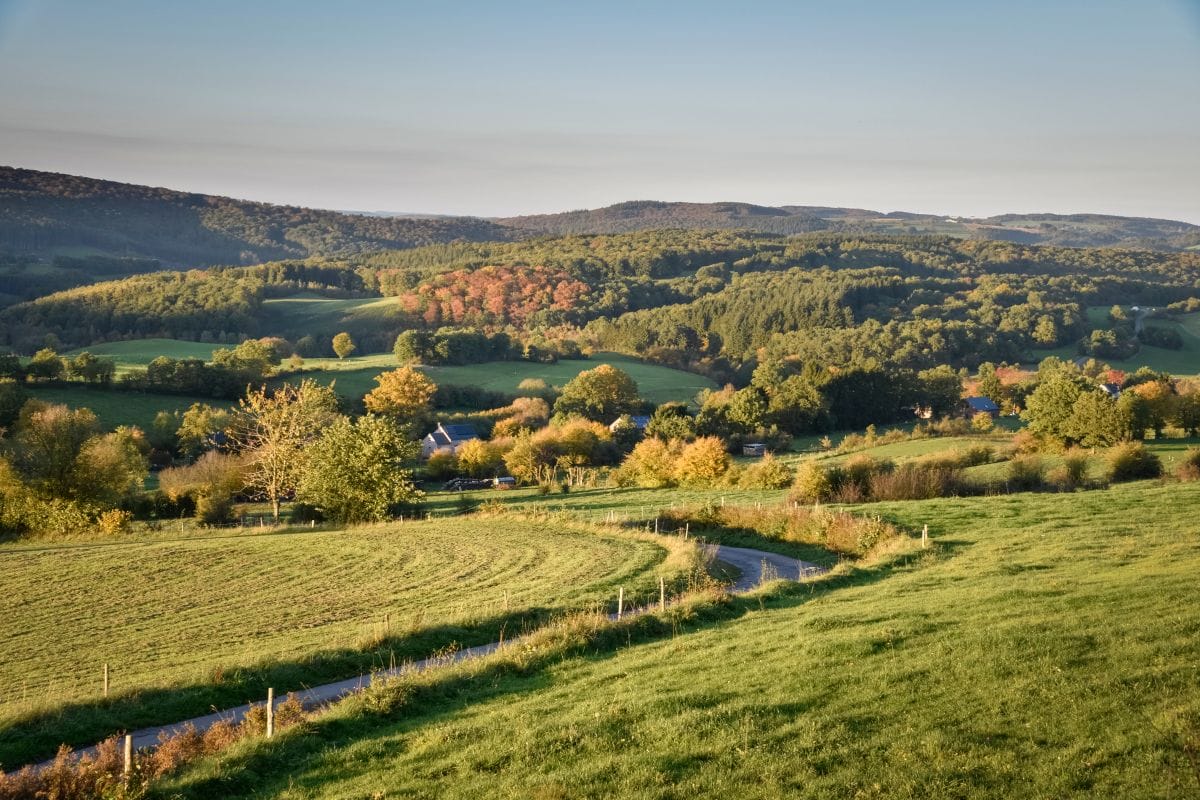 Typical Ardenne Landscape