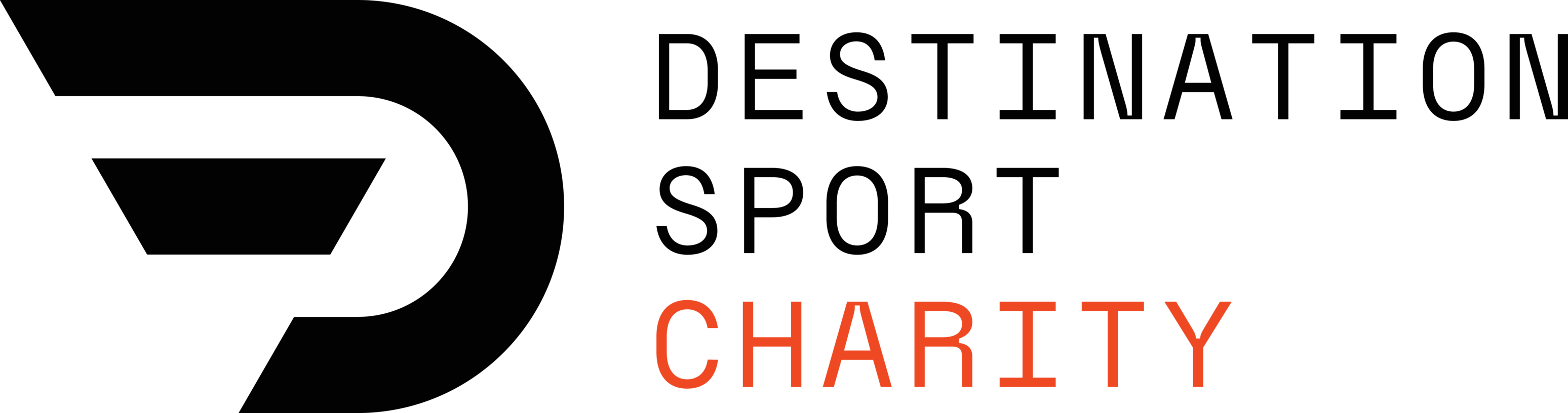 Destination Sport Charity logo image